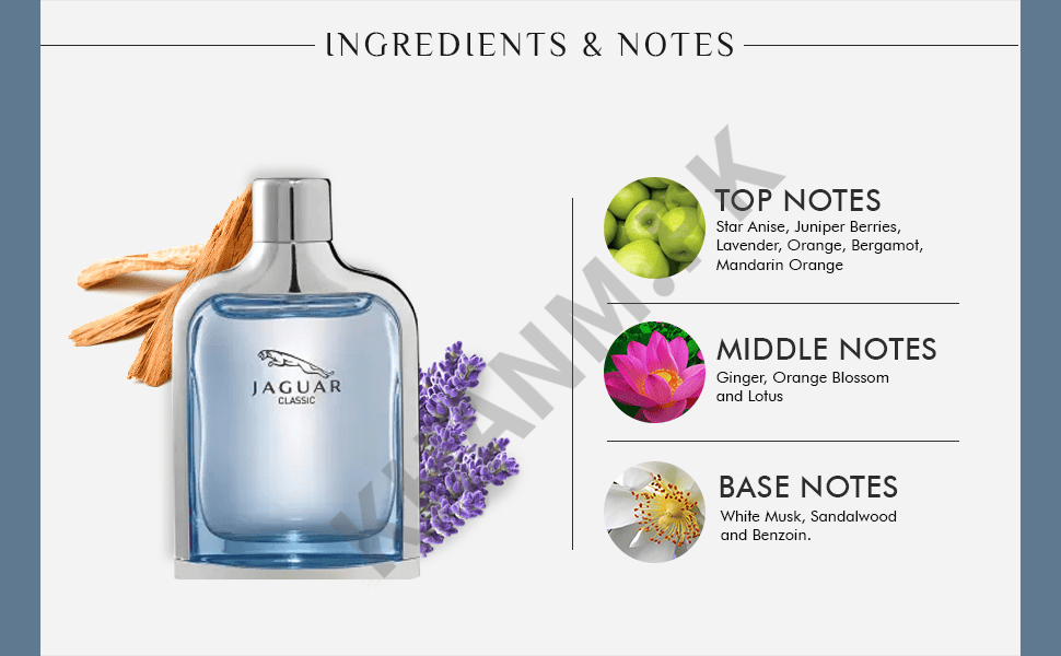 Jaguar Classic perfume bottle with ingredient notes on a white background